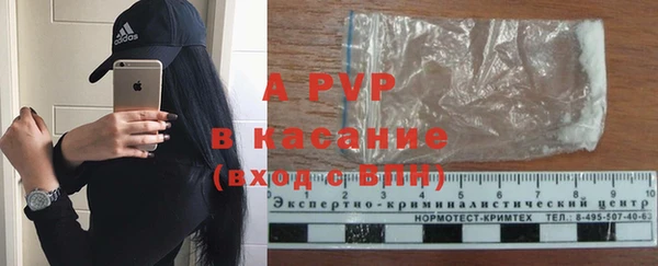прущие грибы Вязники
