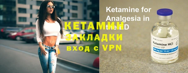 прущие грибы Вязники