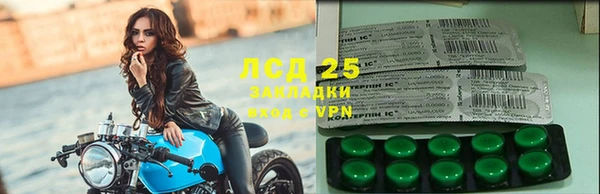 прущие грибы Вязники