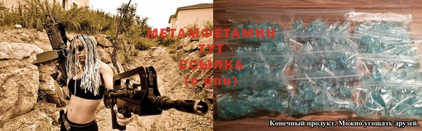 прущие грибы Вязники