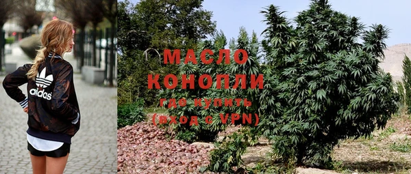прущие грибы Вязники