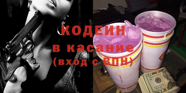 прущие грибы Вязники