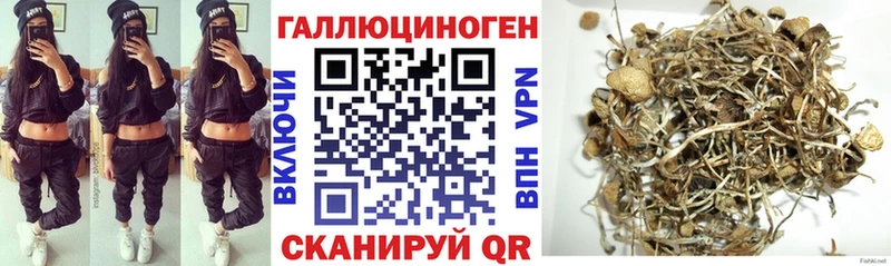 Галлюциногенные грибы Psilocybine cubensis Самара